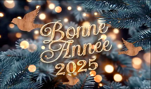 Bonne annee 2025 lien